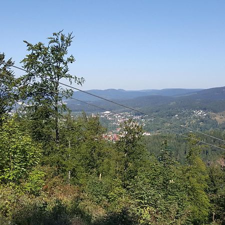 Ferienhaus Am Kirchberg Kurort Steinbach-Hallenberg Exteriör bild