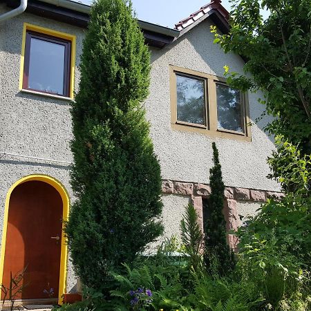 Ferienhaus Am Kirchberg Kurort Steinbach-Hallenberg Exteriör bild