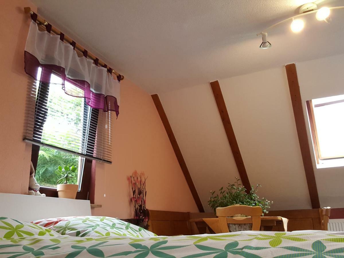Ferienhaus Am Kirchberg Kurort Steinbach-Hallenberg Exteriör bild
