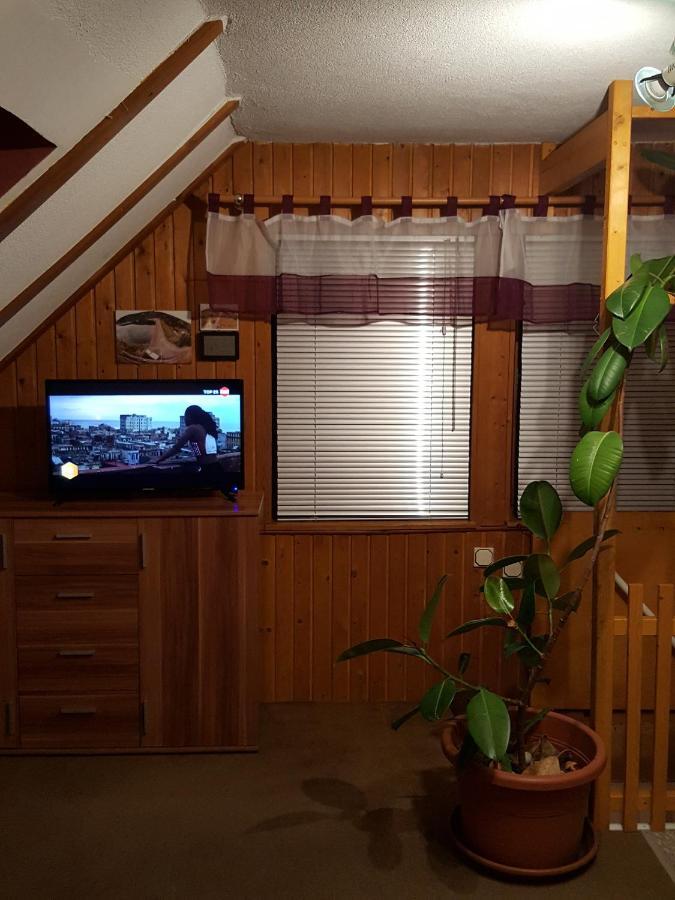 Ferienhaus Am Kirchberg Kurort Steinbach-Hallenberg Exteriör bild