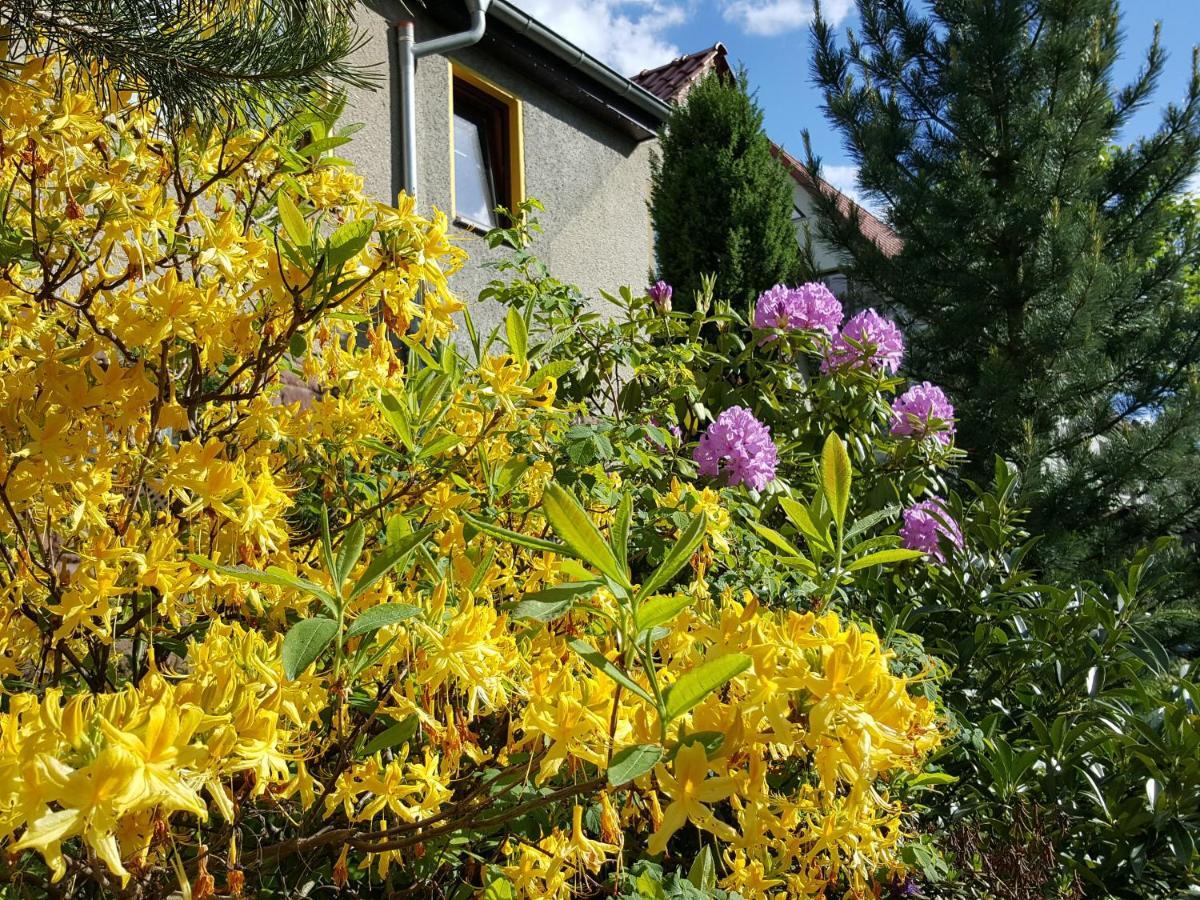 Ferienhaus Am Kirchberg Kurort Steinbach-Hallenberg Exteriör bild
